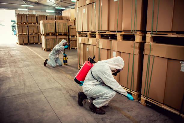 Best Pest Inspection Near Me  in Canterwood, WA