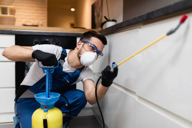 Best Best Pest Control Companies  in Canterwood, WA