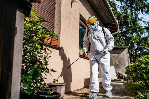 Bird Control in Canterwood, WA