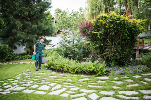 Best Exterminator Services  in Canterwood, WA