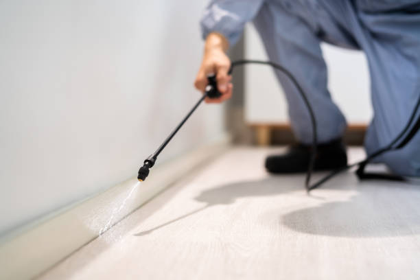 Best Pest Prevention Services  in Canterwood, WA