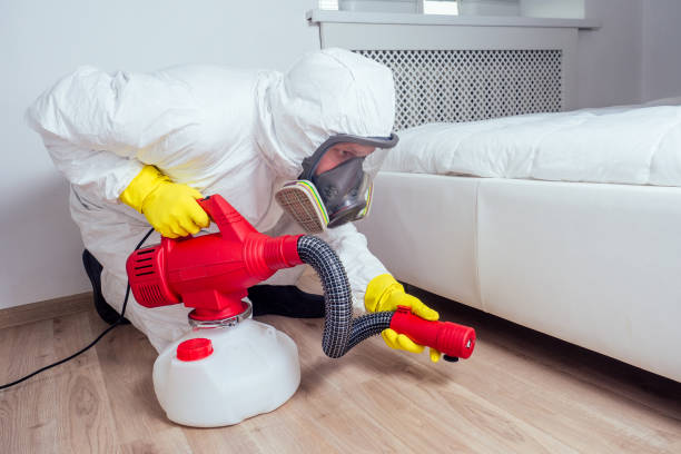 Pest Control Cost in Canterwood, WA