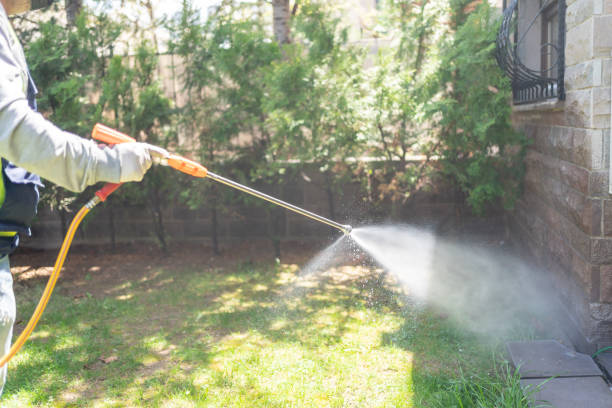 Best Flea Control Services  in Canterwood, WA