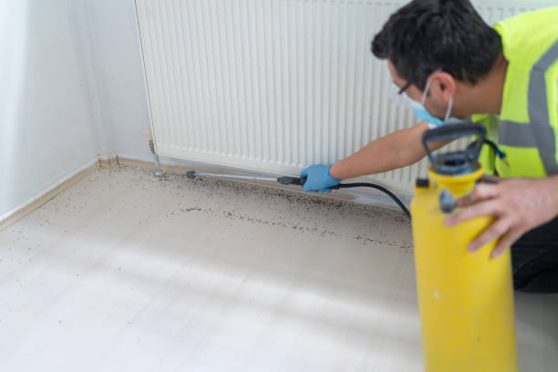 Best Pest Control Treatment  in Canterwood, WA